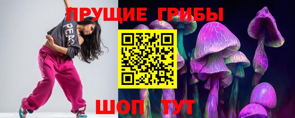 Псилоцибиновые грибы мицелий Кудрово