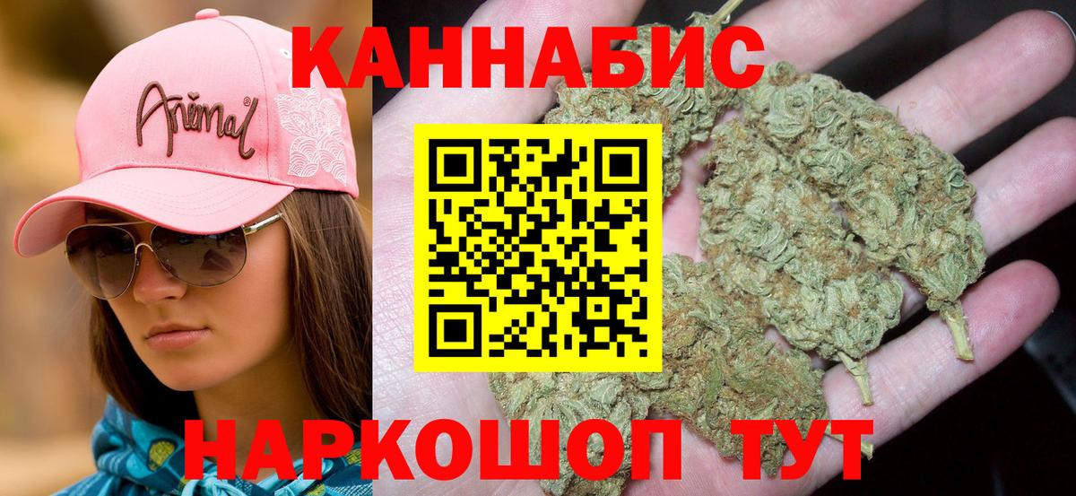 Кудрово  Канабис OG Kush  Вход с VPN  Конопля семена  Марихуана планчик  Шишки марихуана White Widow 